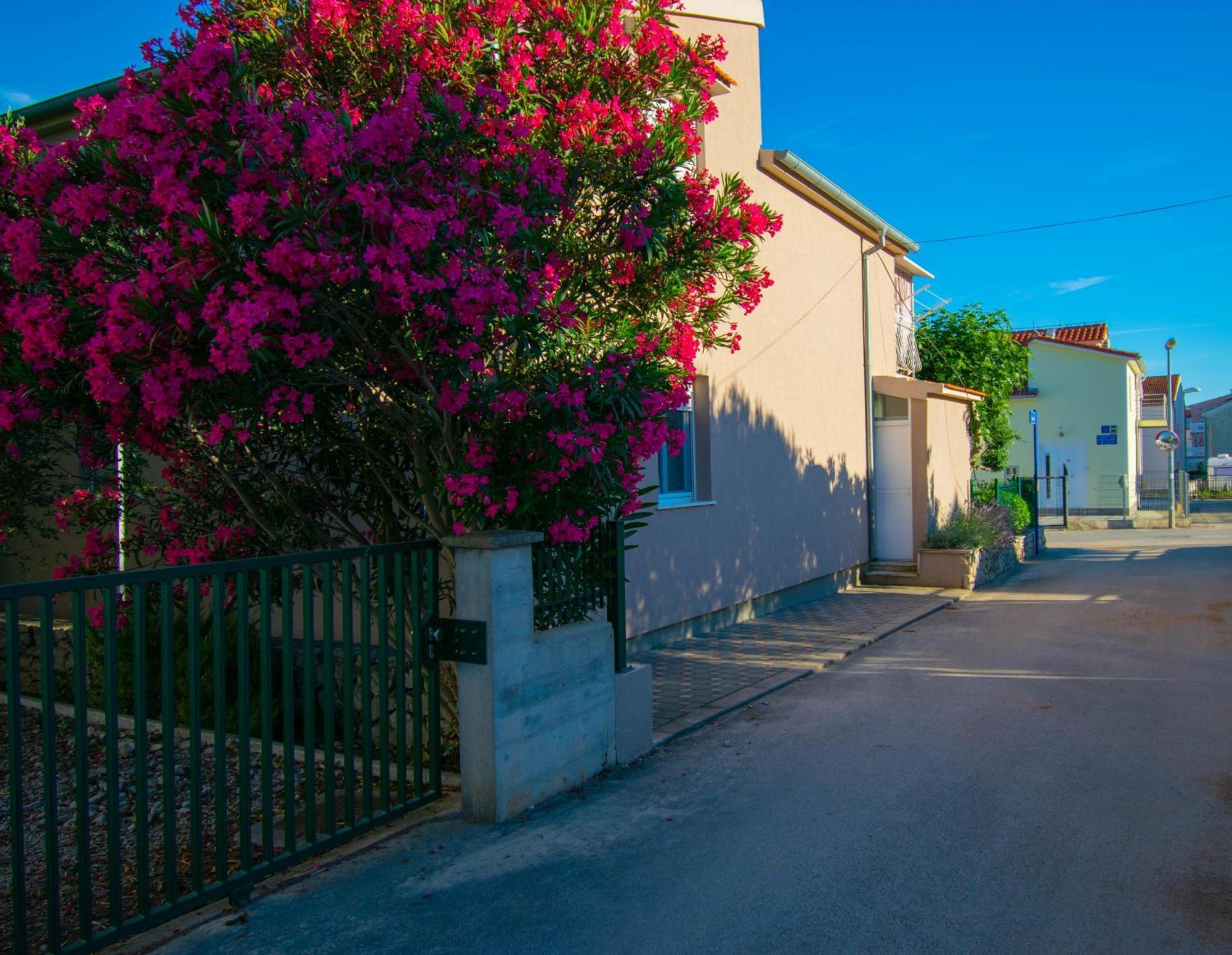 Apartments Anita Frane Vodice Bagian luar foto